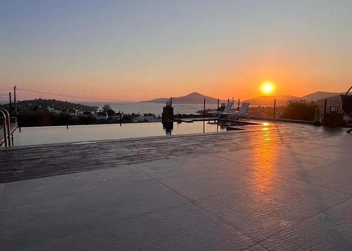 Zs Blue * Alagun Adasi