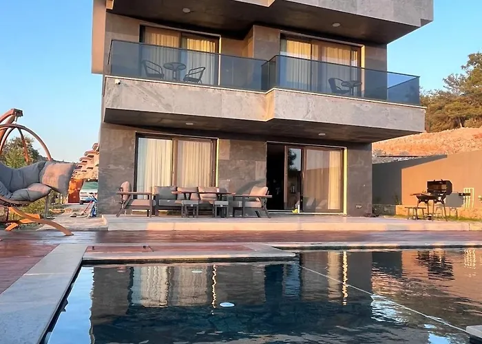 Zs Blue * Alagun Adasi